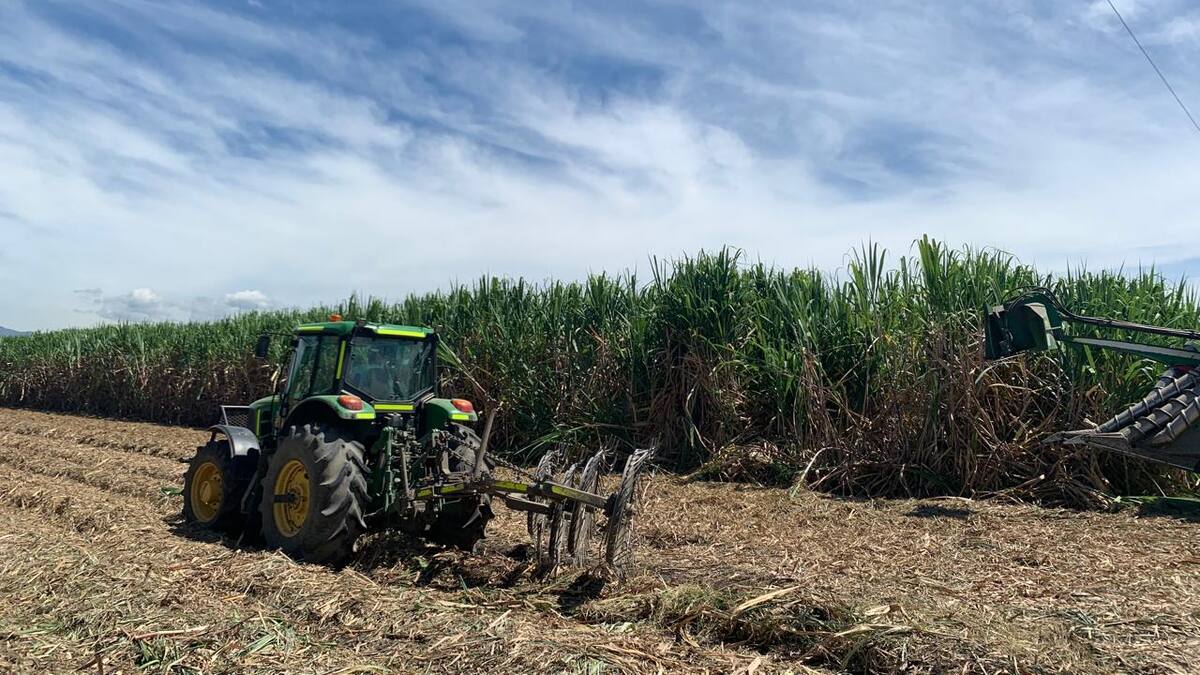 Sostenibilidad y nuevas tecnologías en la evolución de la industria de la caña