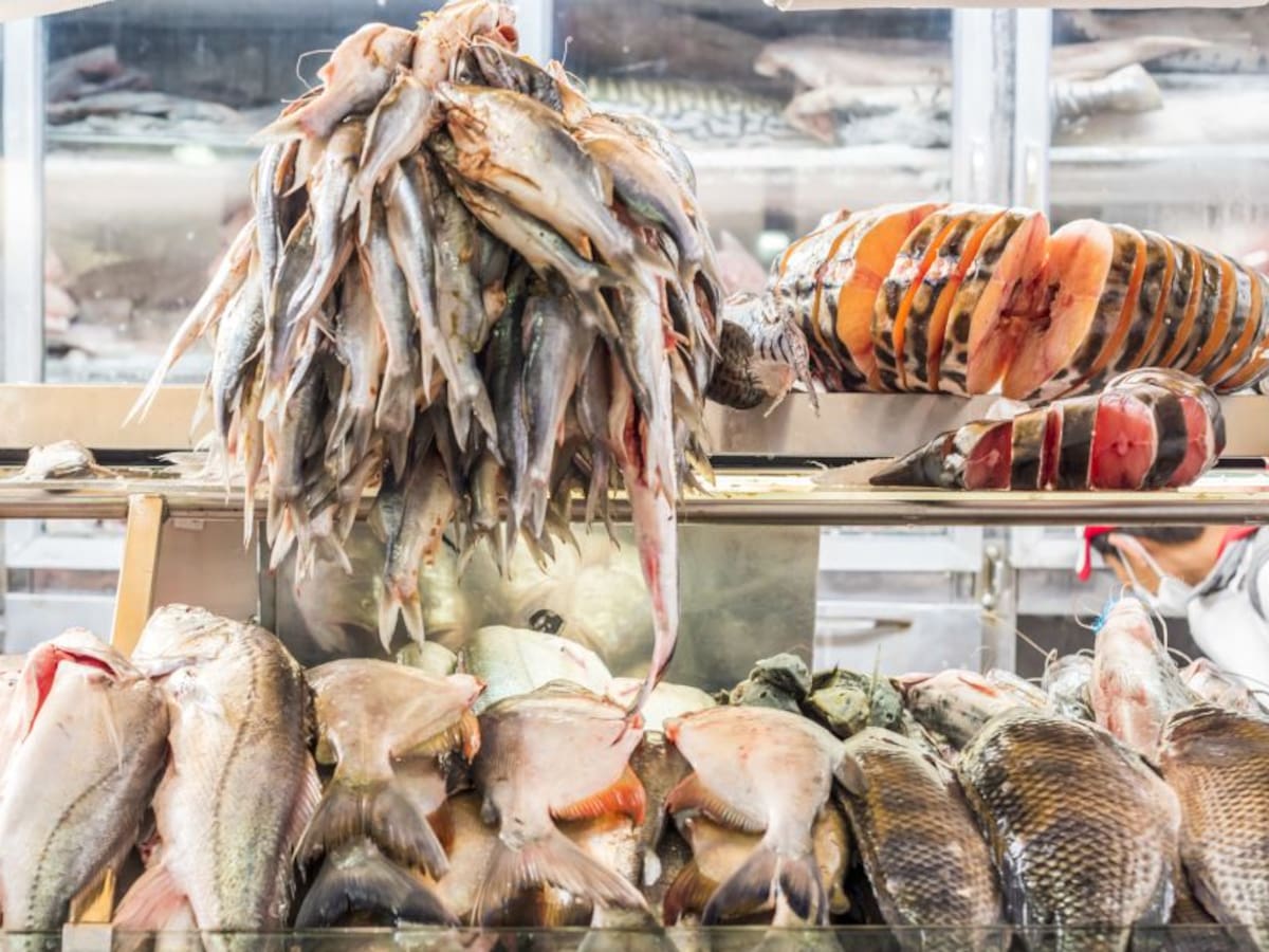 Pescado desde $4.500 pesos para Semana Santa en mercados mayoristas