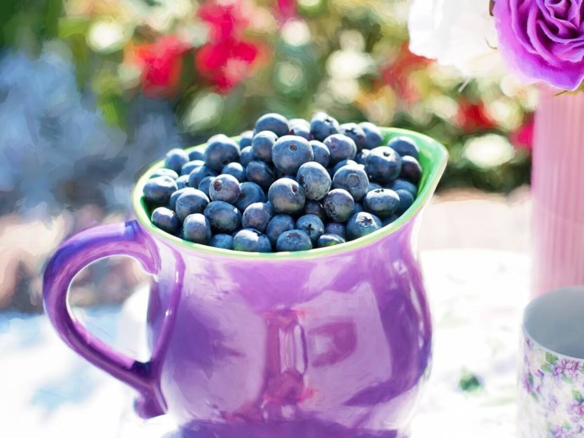 El ayuno intermitente y sus beneficios para la salud