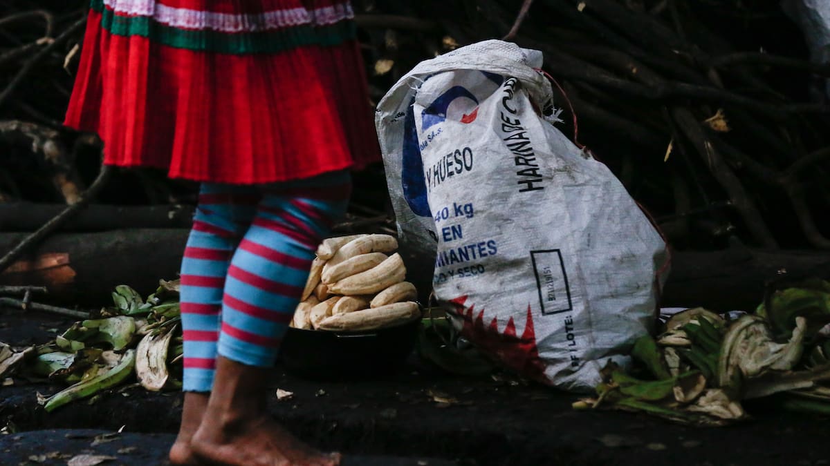 Alcaldía de Bogotá alerta por la llegada nuevamente de niños Embera al parque Nacional