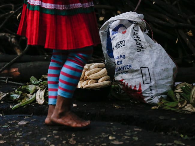 Niños Embera buscan ingresar nuevamente al parque Nacional.