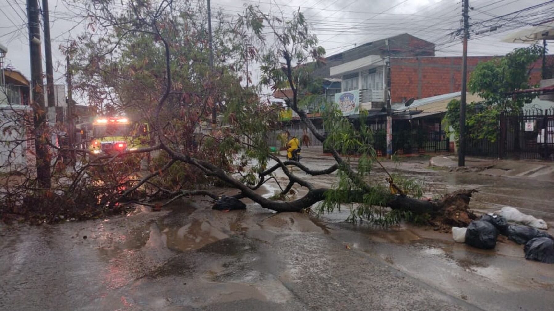 Desbordamientos de quebradas, caída de árboles y vías inundadas reporta Cuerpo de Bomberos.