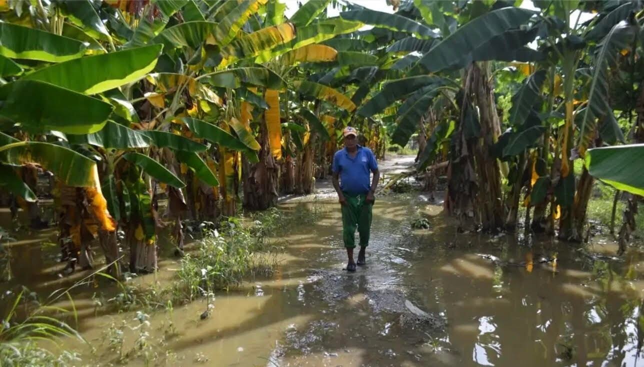 Afectaciones por las inundaciones en el municipio de Caucasia, Antioquia. Foto: Alcaldía de Caucasia.