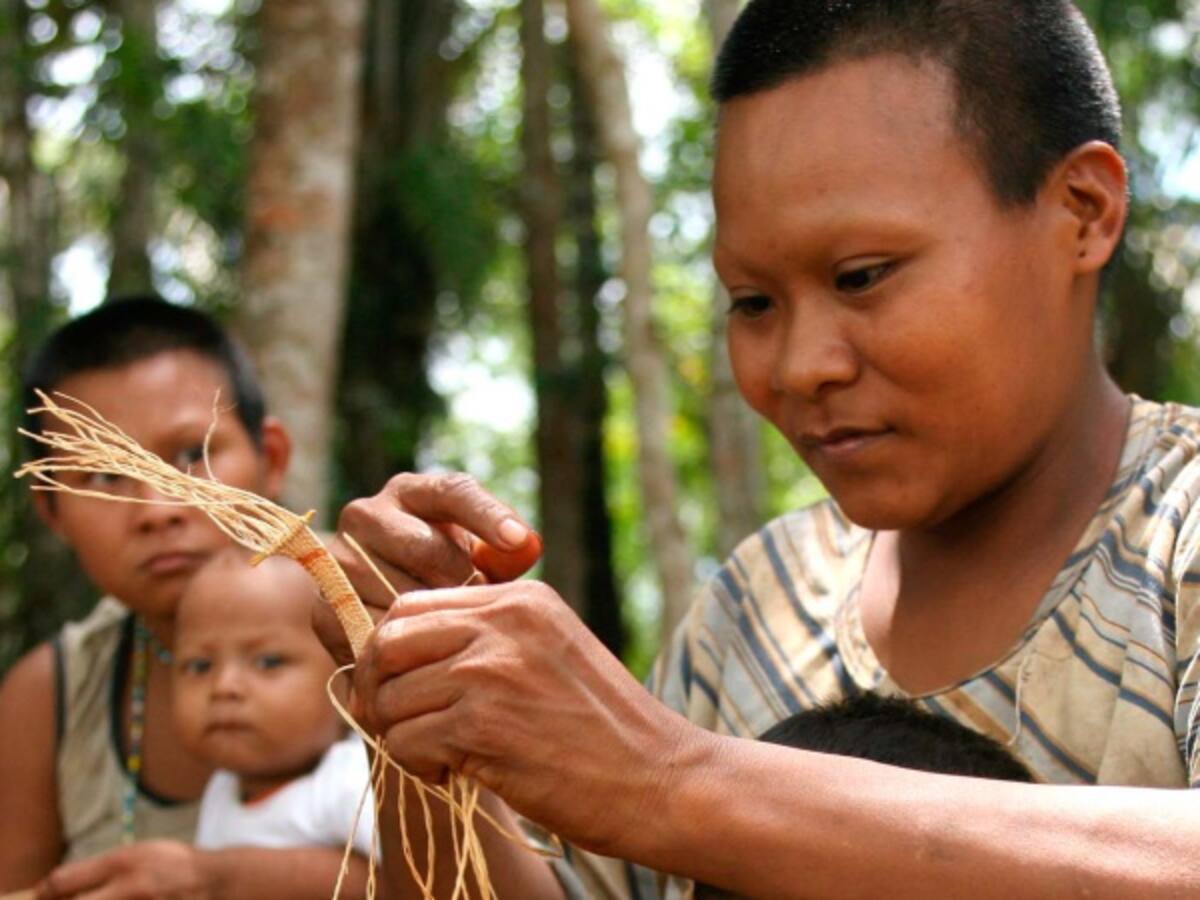 Piden agilizar decreto para protección de pueblos indígenas en aislamiento