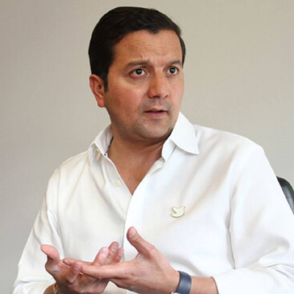 “Hablé con el deseo pero ya Vargas Lleras descartó su candidatura": Luna