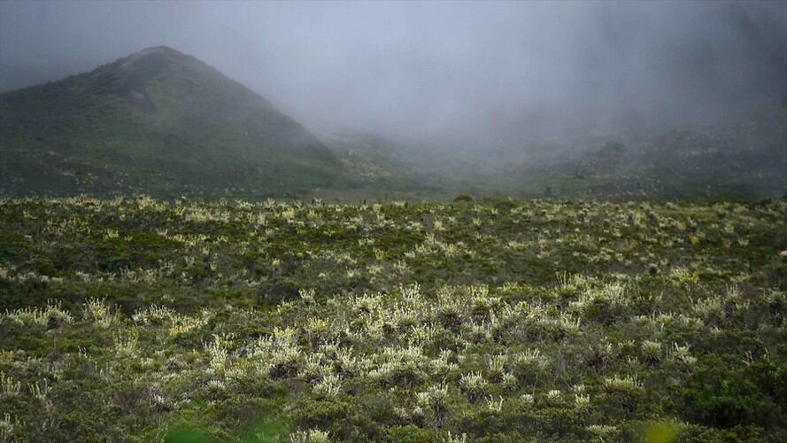 Delimitación del páramo de Pisba en Boyacá. Foto: Colprensa
