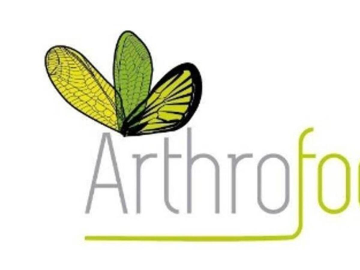 ¿Y si en vez de carne comemos grillo?