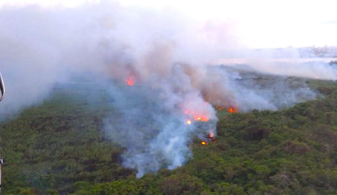 Imagen de referencia