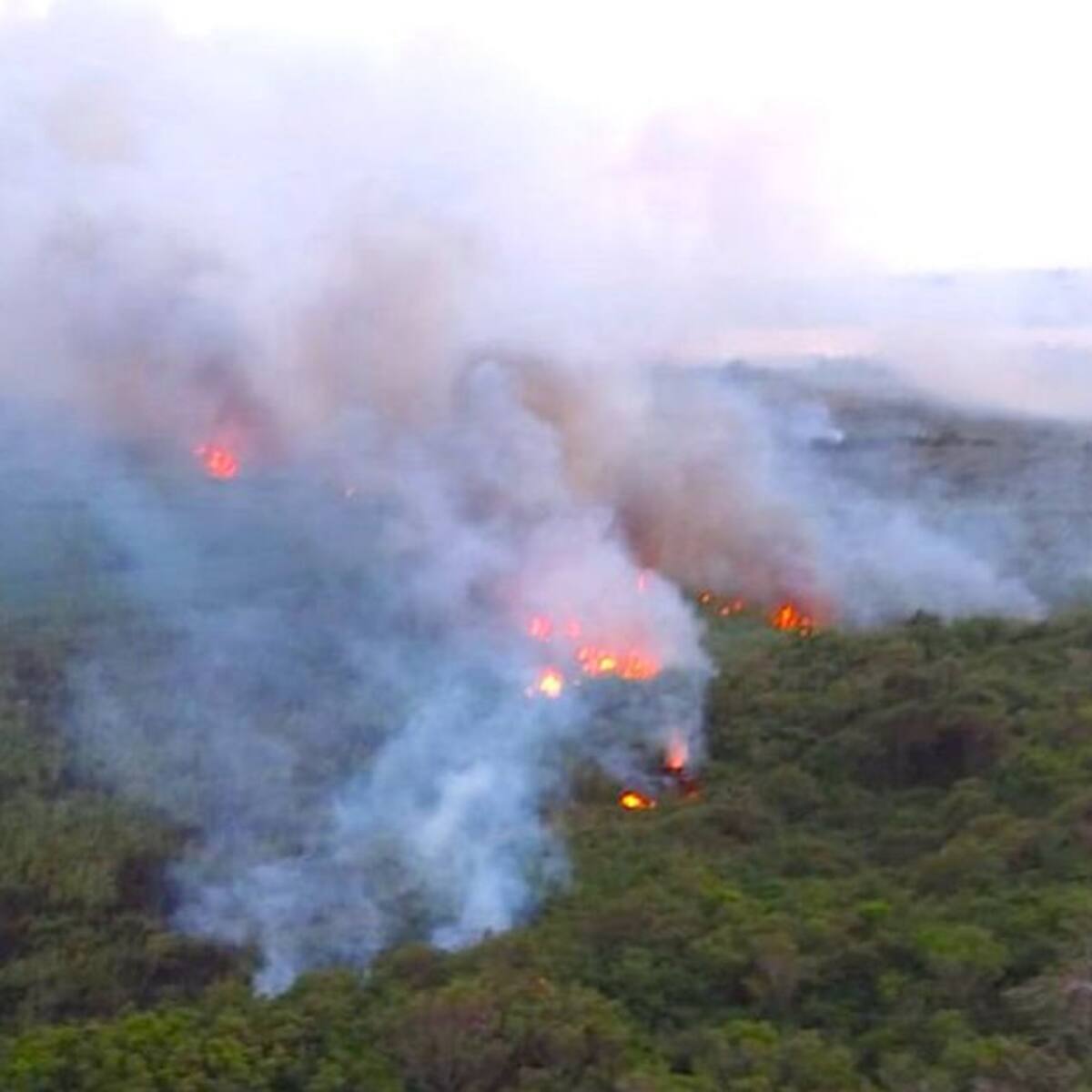 Más de 48 horas cumple incendio en la Isla Salamanca