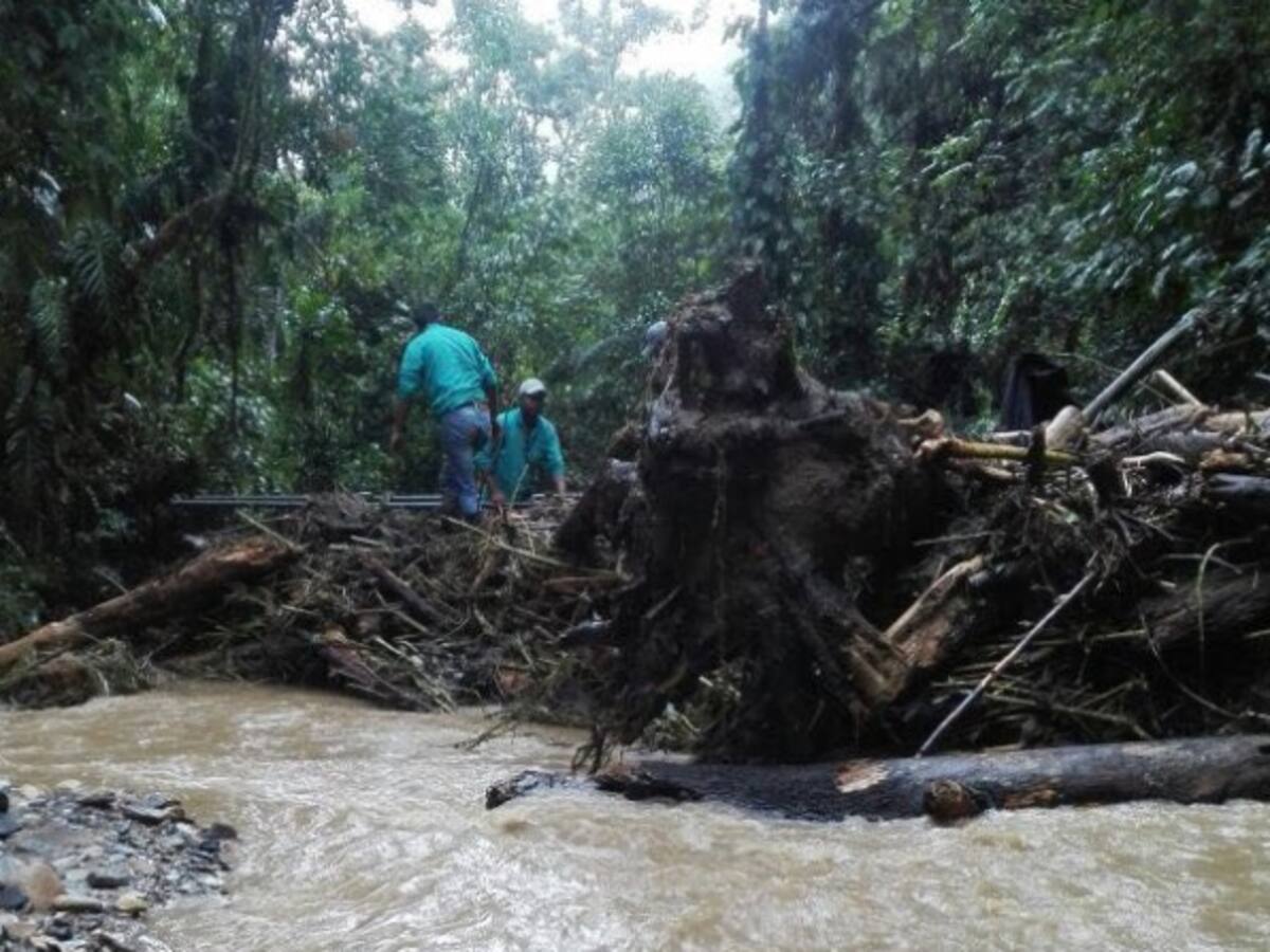Un deslizamiento deja sin agua a Villamaría, Caldas