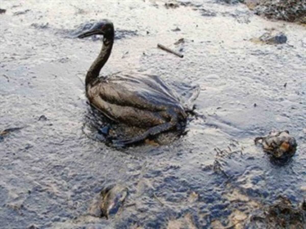 BP inicia prueba de la nueva campana de contención para detener el vertido de crudo