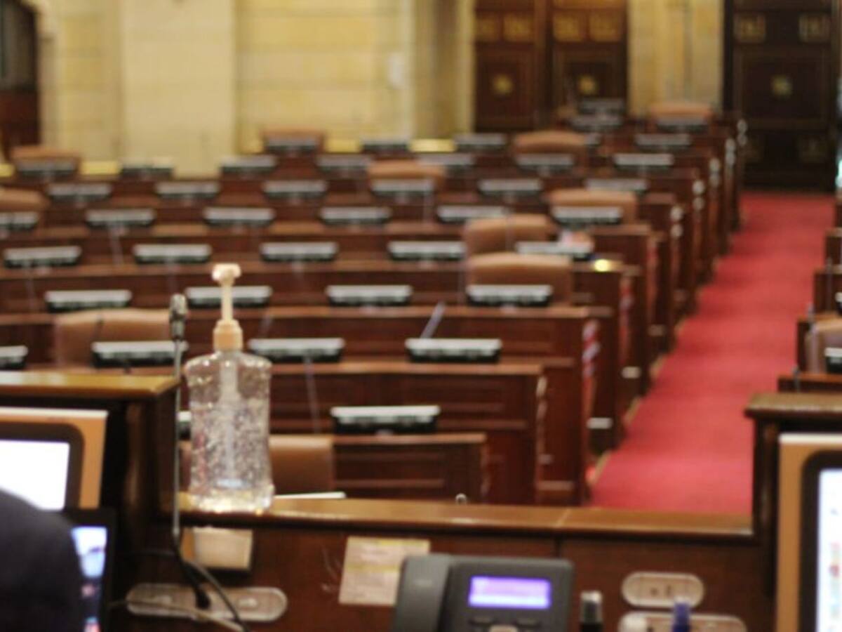 Cámara elegirá Defensor del Pueblo en sesión presencial