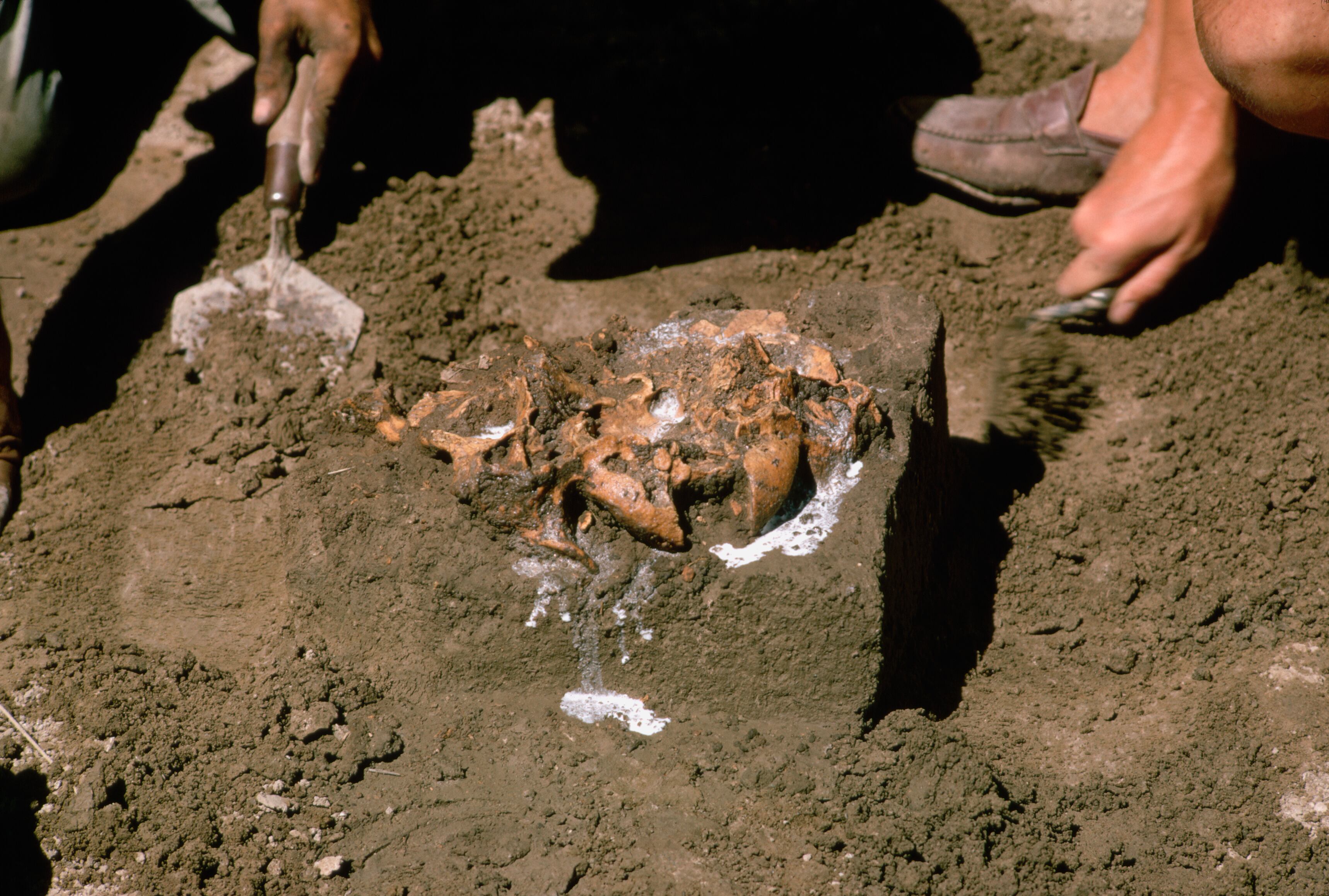 Arqueología, imagen de referencia (Getty Images).