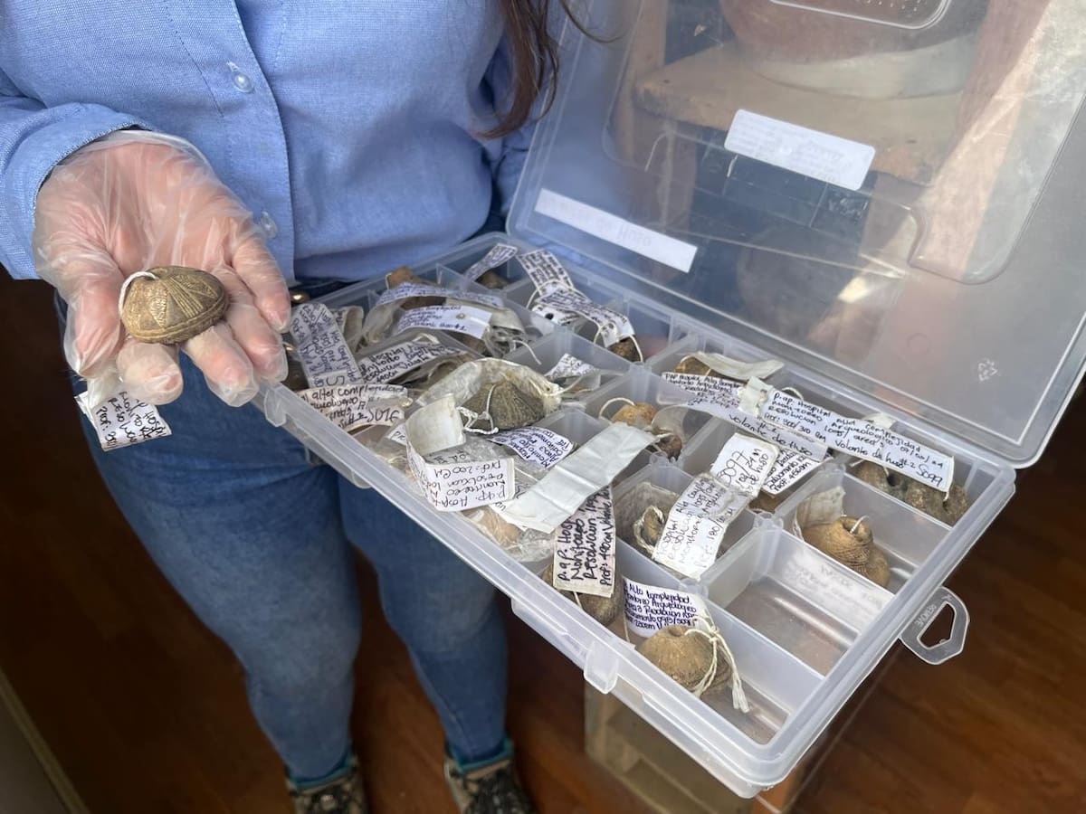 Siguen encontrando piezas arqueológicas en la obra del Hospital de Alta Complejidad de Risaralda