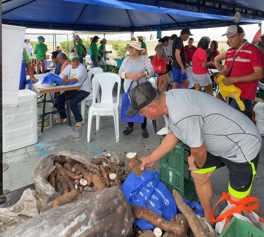 Alcaldía de Cartagena