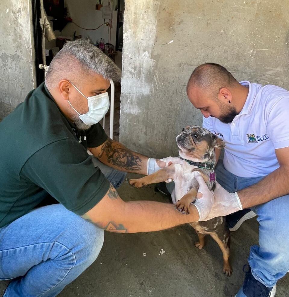 Cortesía: Alcaldía de Bello
