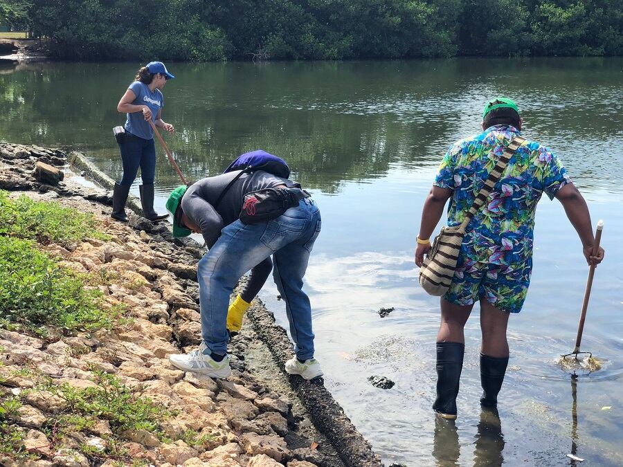 Cámara de Comercio de Cartagena