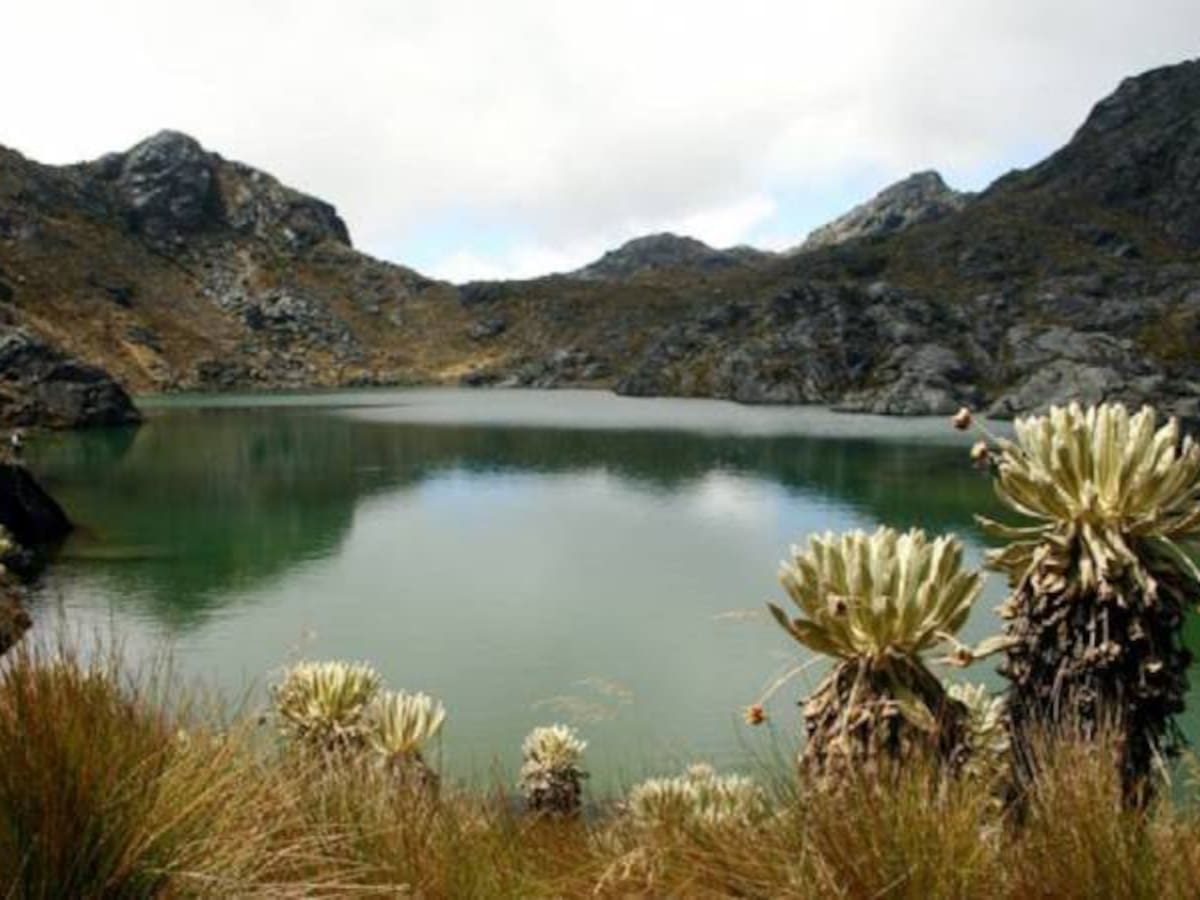 Anuncio de inversión árabe para explotar oro en Santurbán divide a santandereanos