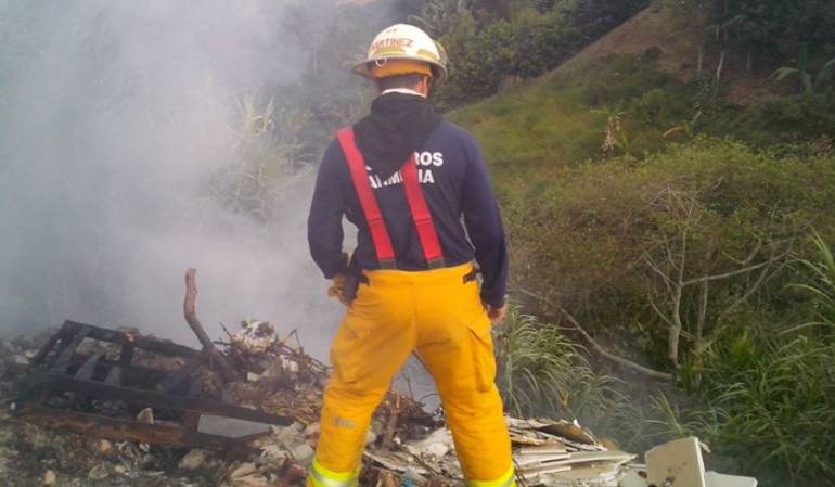 Gran parte de los incendios forestales han sido provocados.