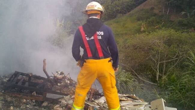 Gran parte de los incendios forestales han sido provocados.