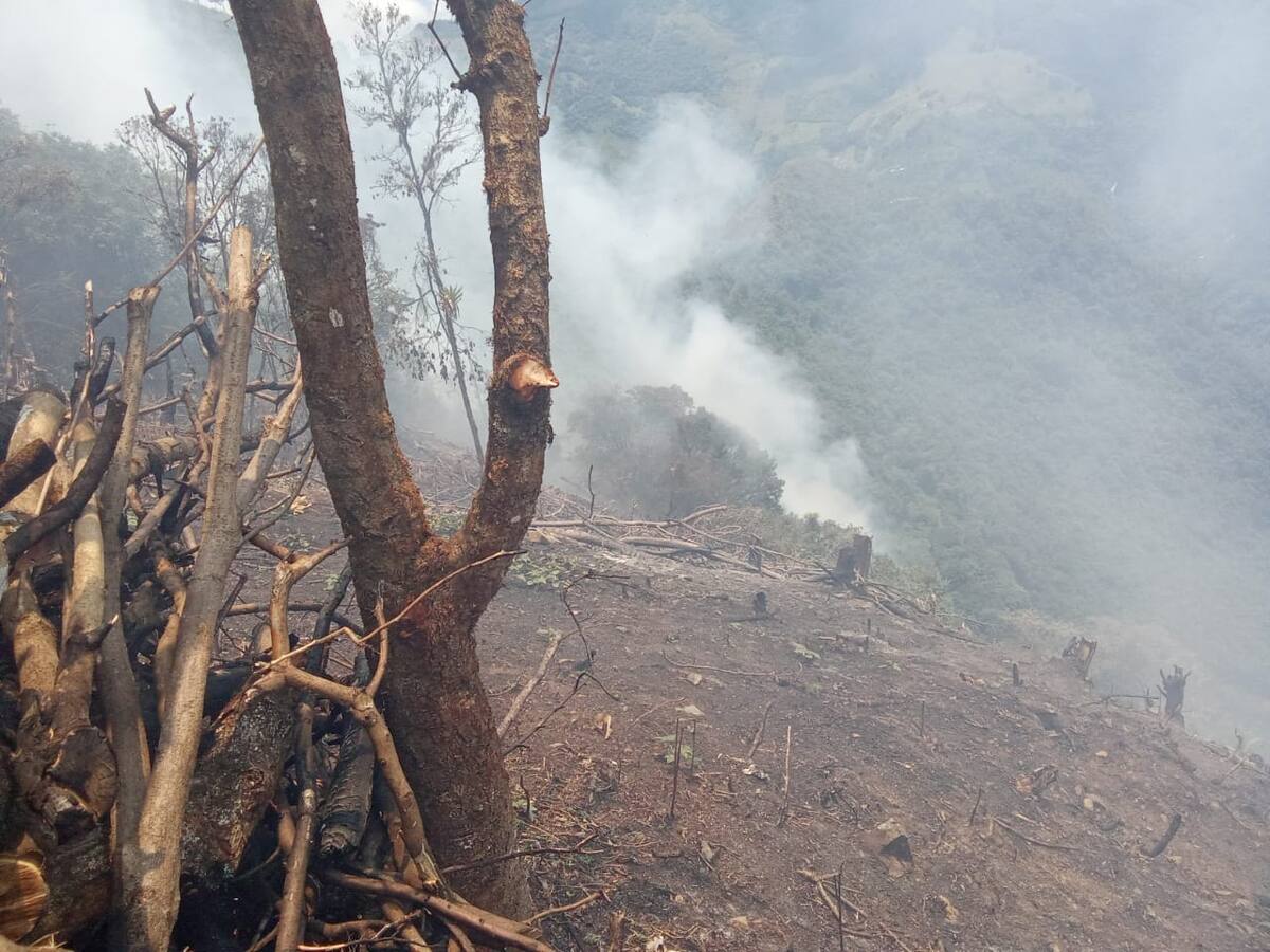 Tres incendios quemaron más de cinco hectáreas en el área rural de Aguadas, Caldas