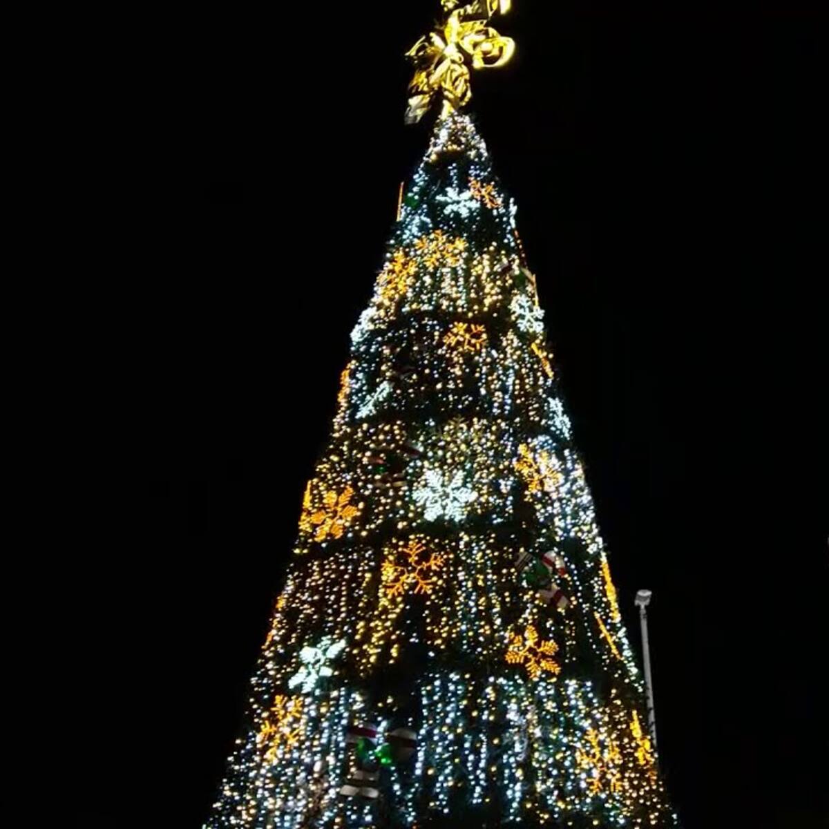 Avenida Quebradaseca estará cerrada por montaje de árbol de navidad