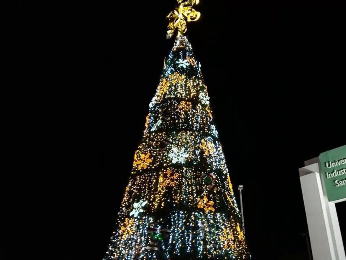 Avenida Quebradaseca estará cerrada por montaje de árbol de navidad