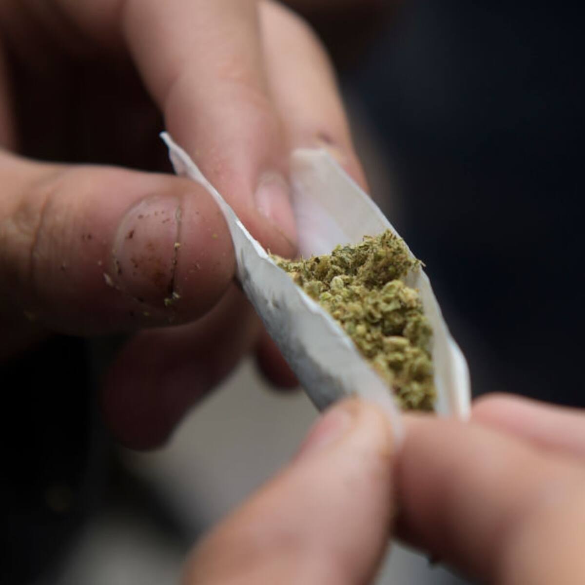 A sexto debate pasó la reforma que regularía el consumo recreativo de cannabis en Colombia