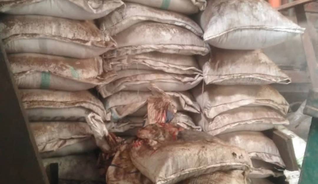 Cae banda que alteraba alimentos vencidos para destinarlo al PAE