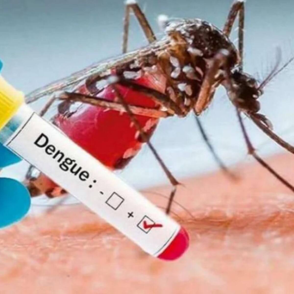 Casos de Dengue en aumento en el Huila