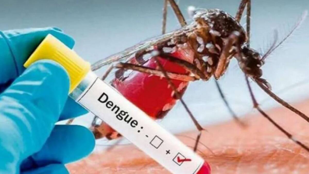 En Santander decretan emergencia sanitaria por alto brote de dengue