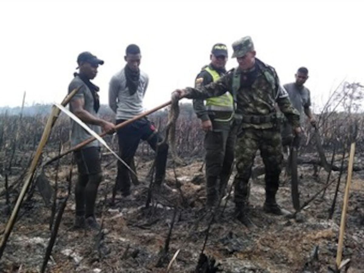 Autoridades mantienen atención a pesar de desaceleración de 'El Niño'
