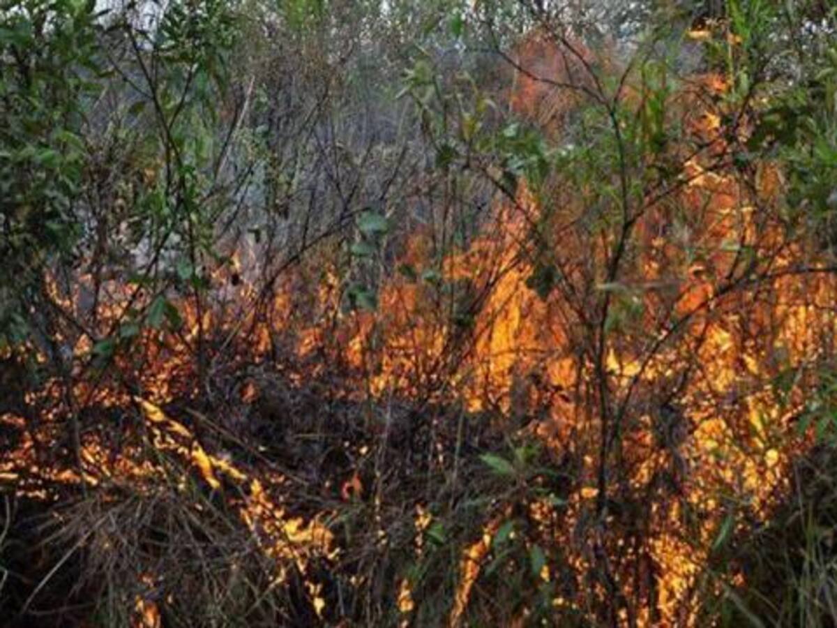 Organismos de socorro atienden incendios e inundaciones en el país