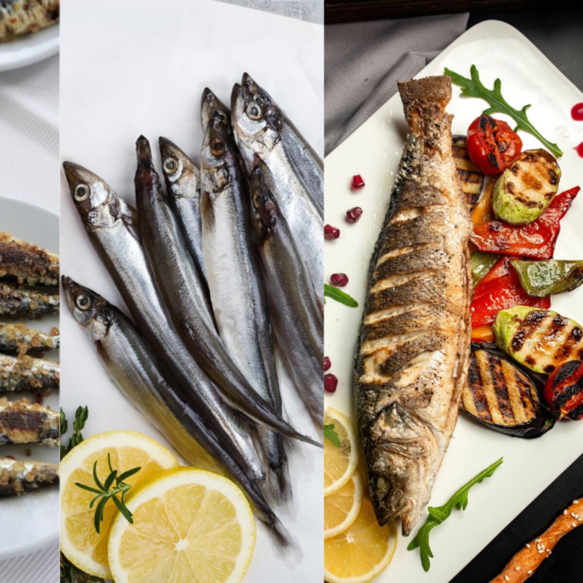 Los 7 pescados más nutritivos, según expertos: ¿Cuánto vale comprarlos en Colombia?