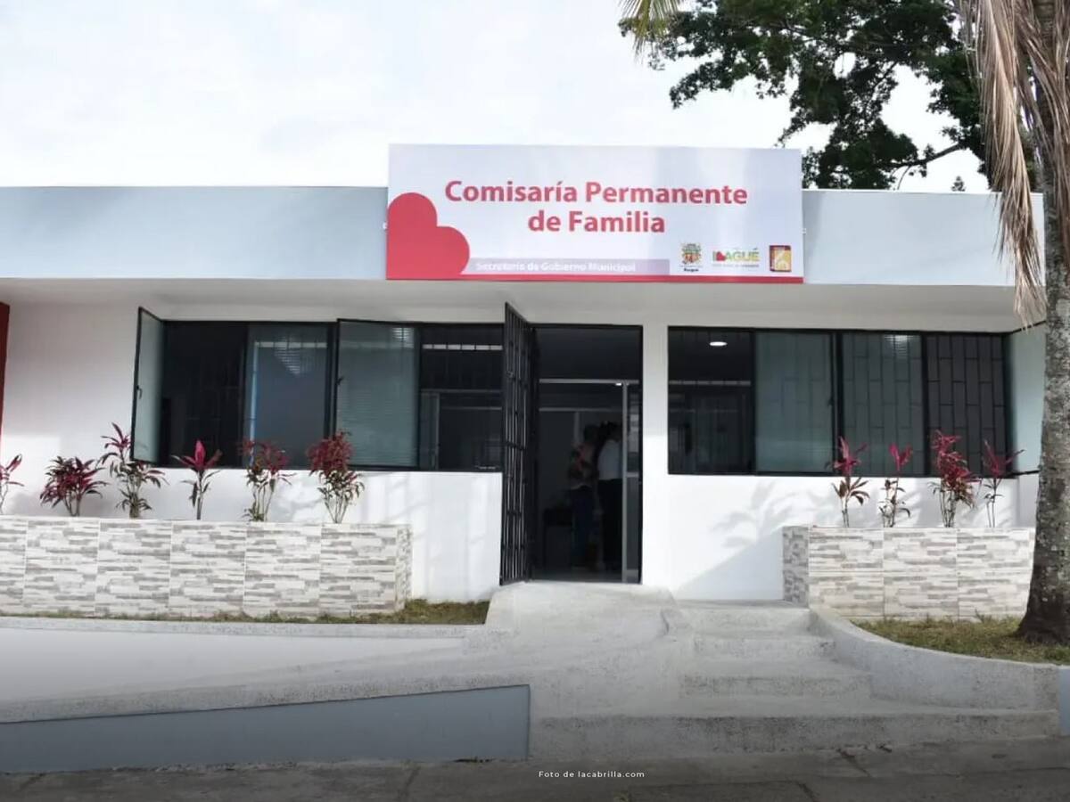 Crean estampilla para fortalecer las Comisarias de Familia en el Tolima