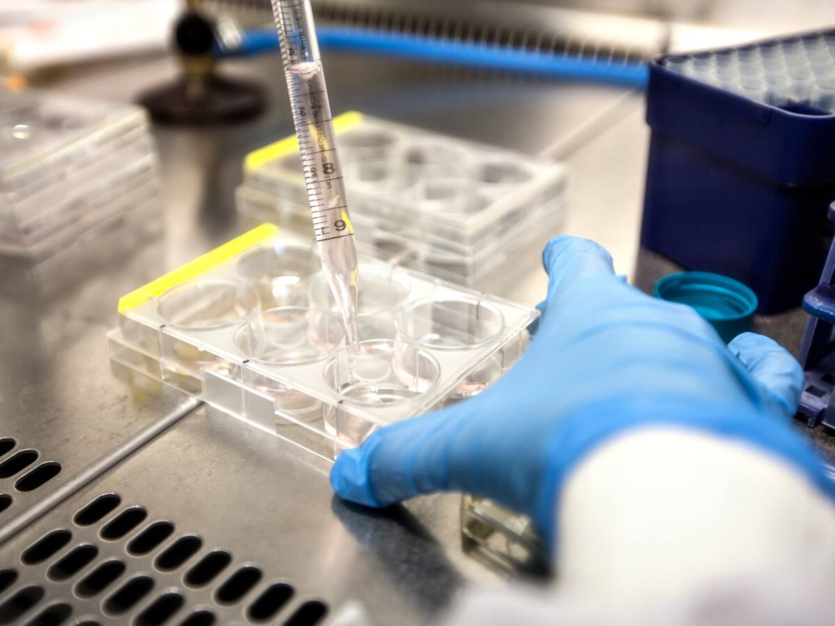 Organización de Pacientes acusa al Gobierno de expropiar patente contra el VIH