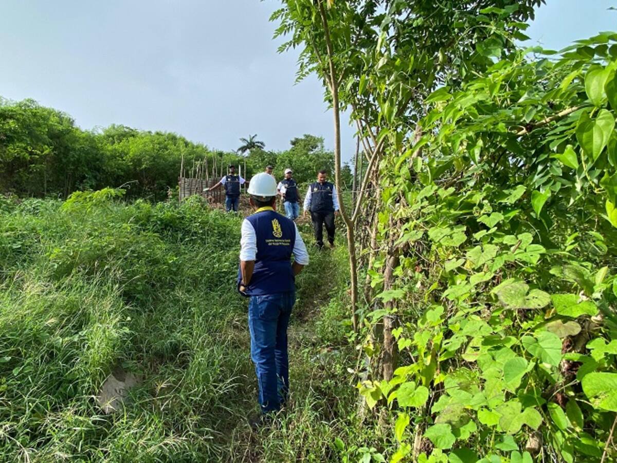 Descartan posible riesgo de deslizamiento en el sector Loma del Marión de Cartagena