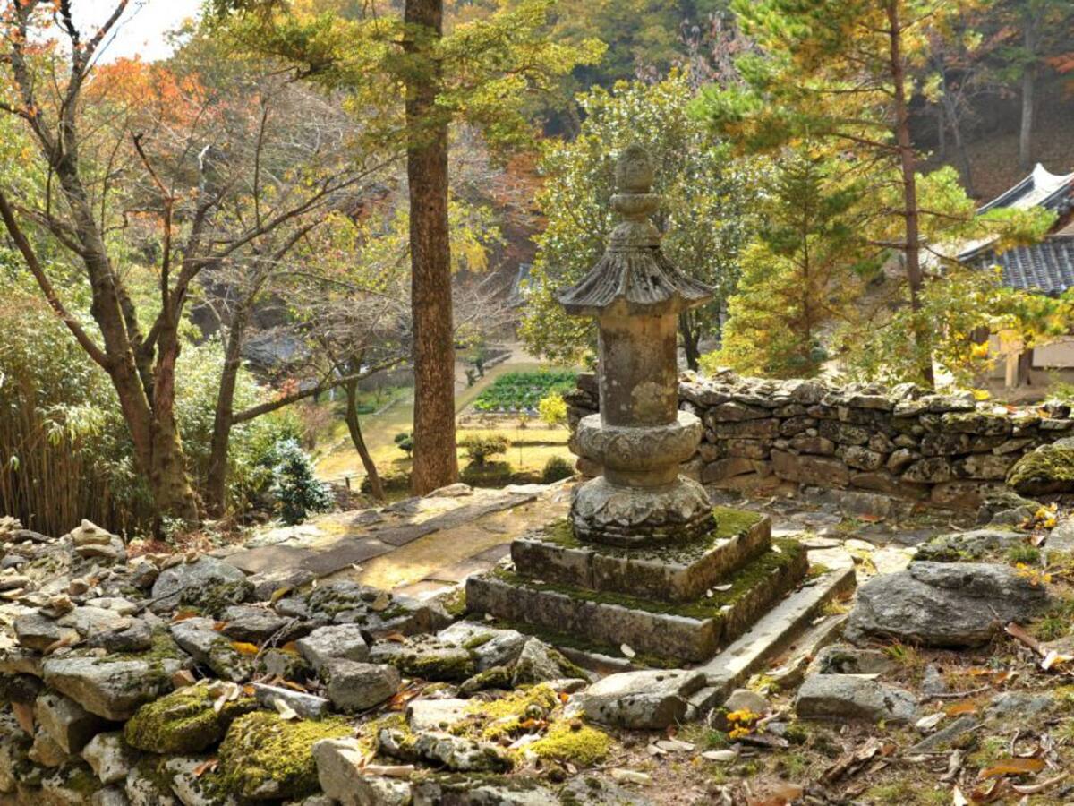 Beneficio de la zeolita para el organismo