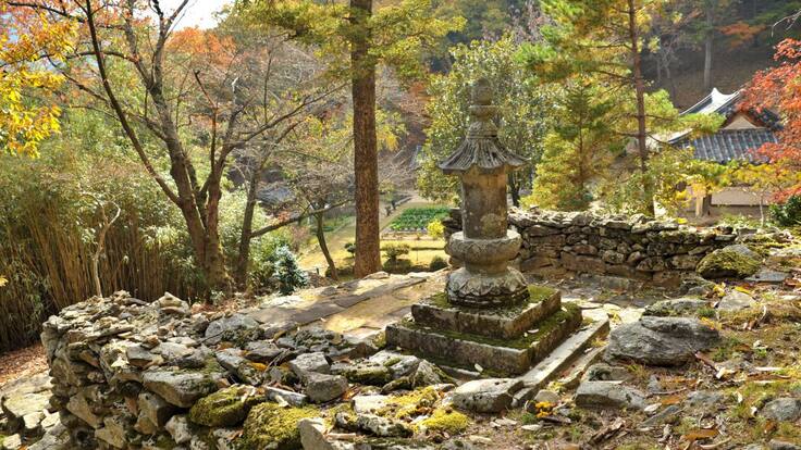 Beneficio de la zeolita para el organismo.