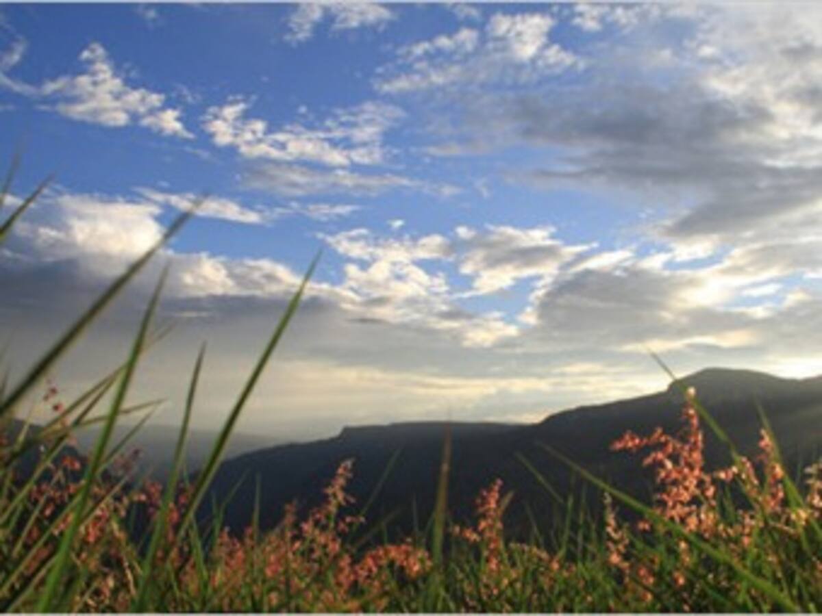 Sequía obliga a declarar calamidad pública en Santander