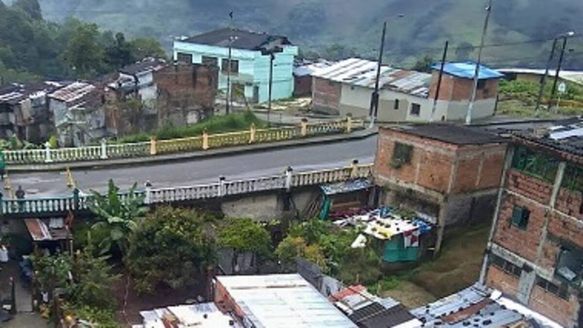 Diana Paola Niño Alarcón