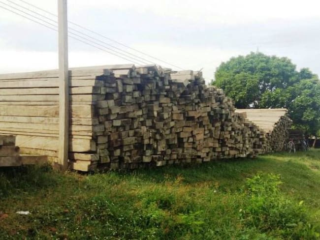 Decomisan cargamento ilegal de madera avaluado en 220 millones de pesos en Bolívar
