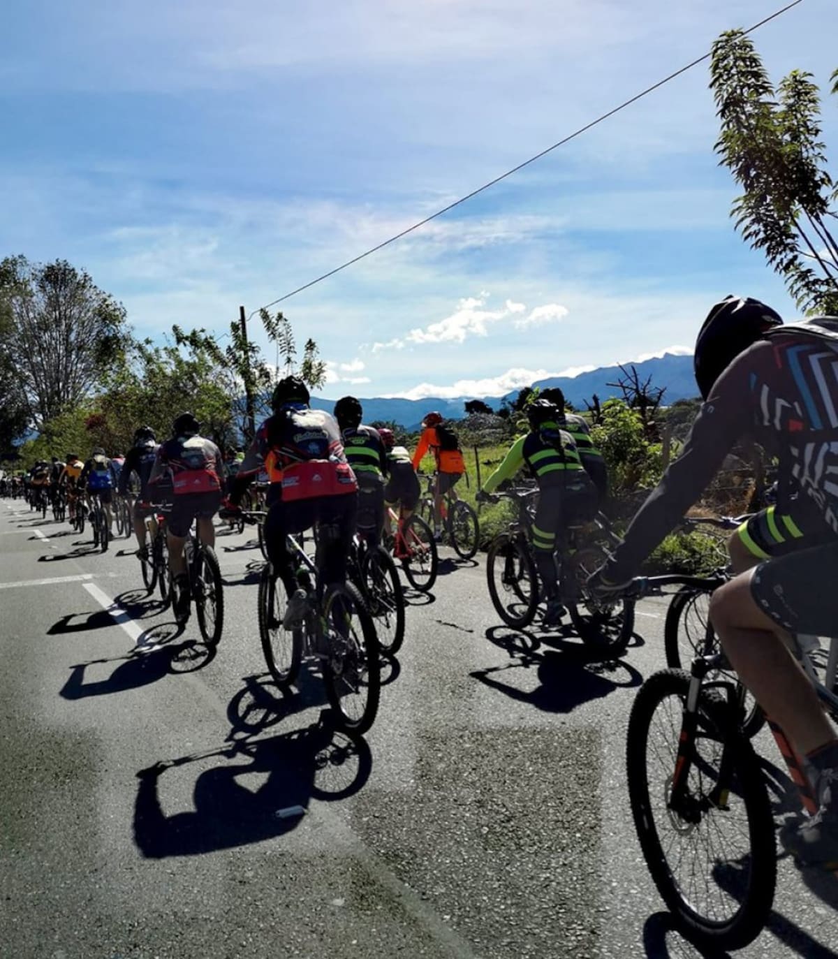 Decenas de ciclistas salieron desde Armenia y terminaron en Salento