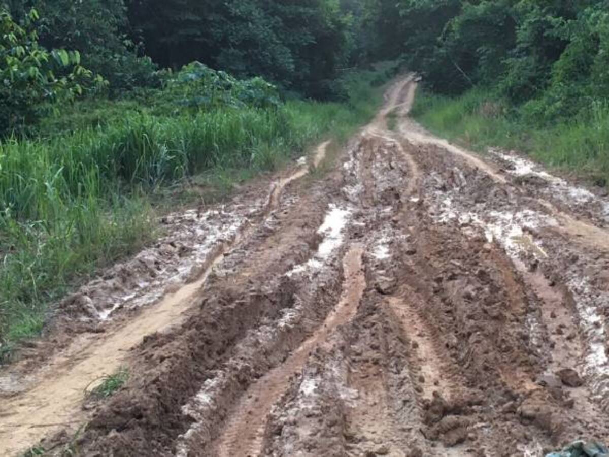 Más de 450 policías ya están en las nuevas trochas fronterizas entre Colombia y Venezuela