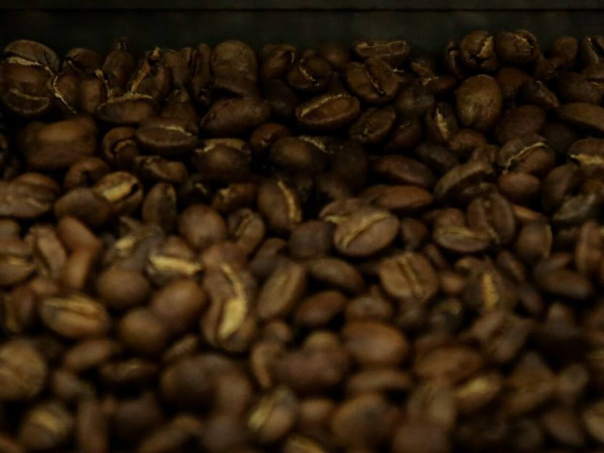 Café con sabor y olor a paz, ahora certificado en laboratorios de Nariño