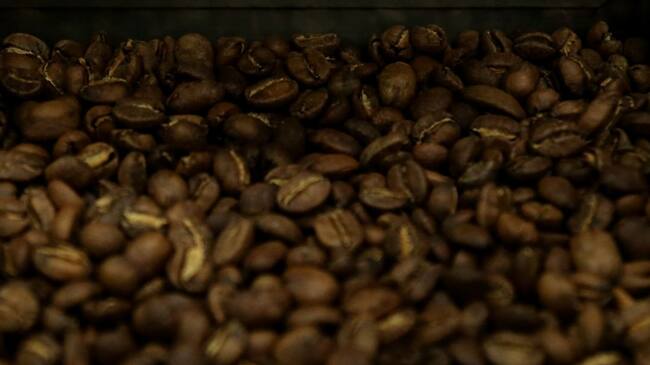 Granos de café