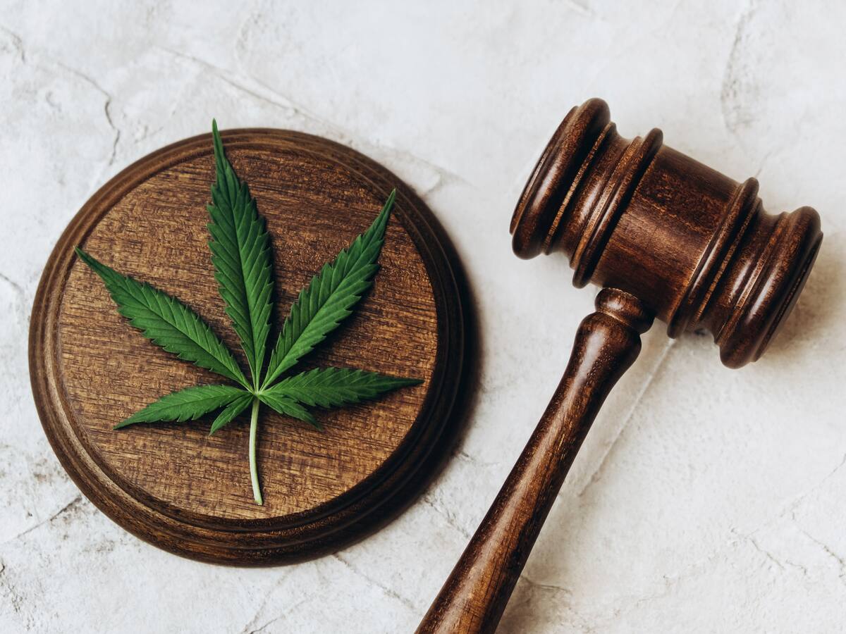 Despenalización de las drogas, ¿cuál es el panorama para Latinoamérica?