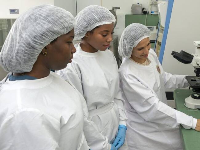 Plan de residuos orgánicos en la Universidad Libre de Pereira.