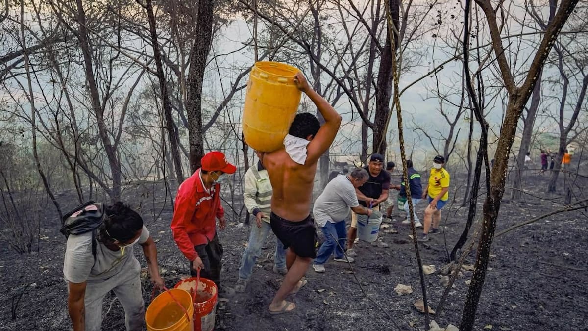 Incendios forestales en el Tolima dejan por lo menos 800 familias damnificadas
