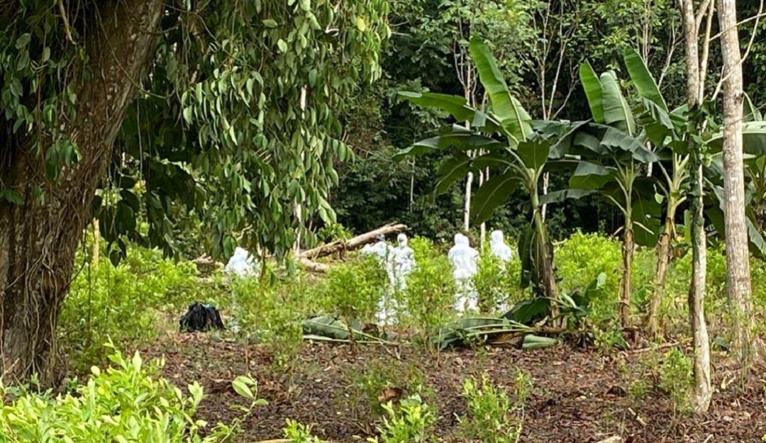 Operaciones del Ejército Nacional